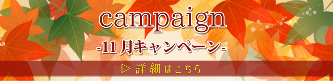 campaign 11月キャンペーン