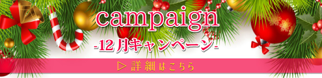 campaign 12月キャンペーン