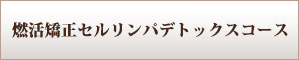 燃活矯正セルリンパデトックスコース
