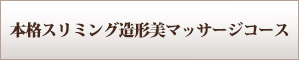 本格スリミング造形美マッサージコース
