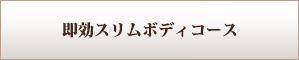 即効スリムボディコース