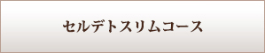 セルデトスリムコース