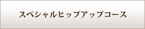 スペシャルヒップアップコース