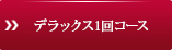 デラックス1回コース