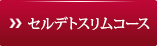 セルデトスリムコース