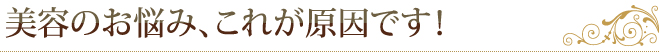 美容のお悩み、これが原因です！