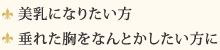 美乳になりたい方、垂れた胸をなんとかしたい方に