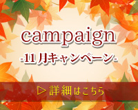 campaign 11月キャンペーン